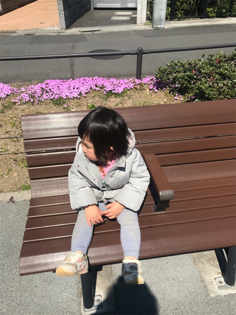 f:id:kozaaana:20190406174748j:image