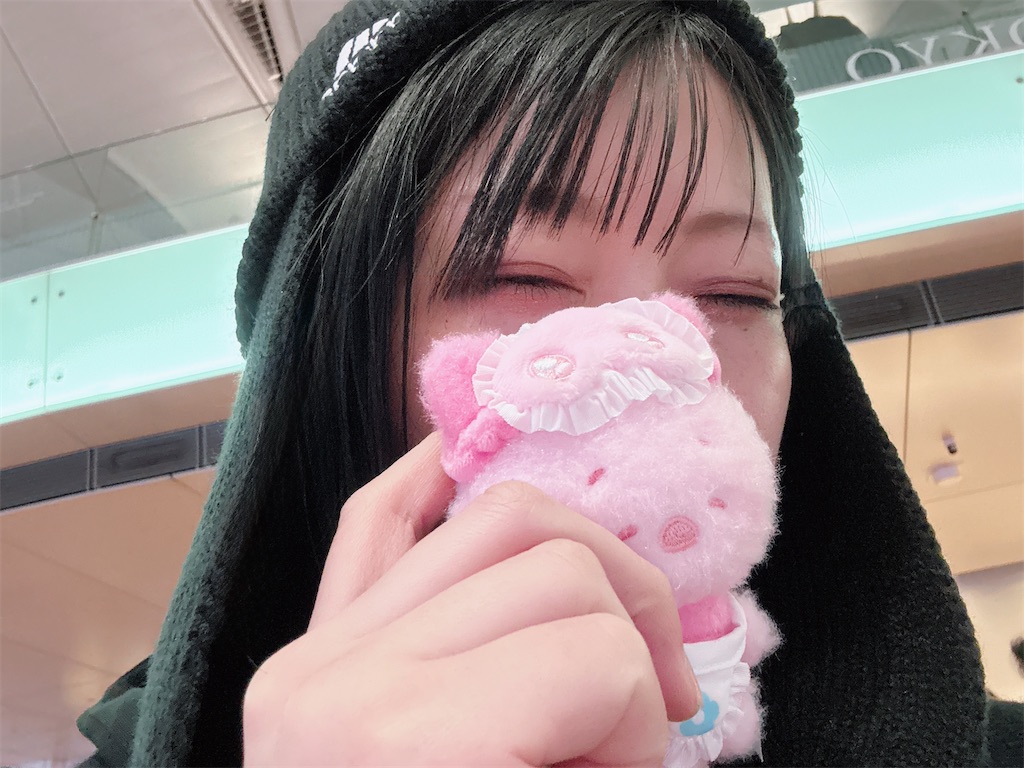 f:id:kozakana__srs:20260215210607j:image