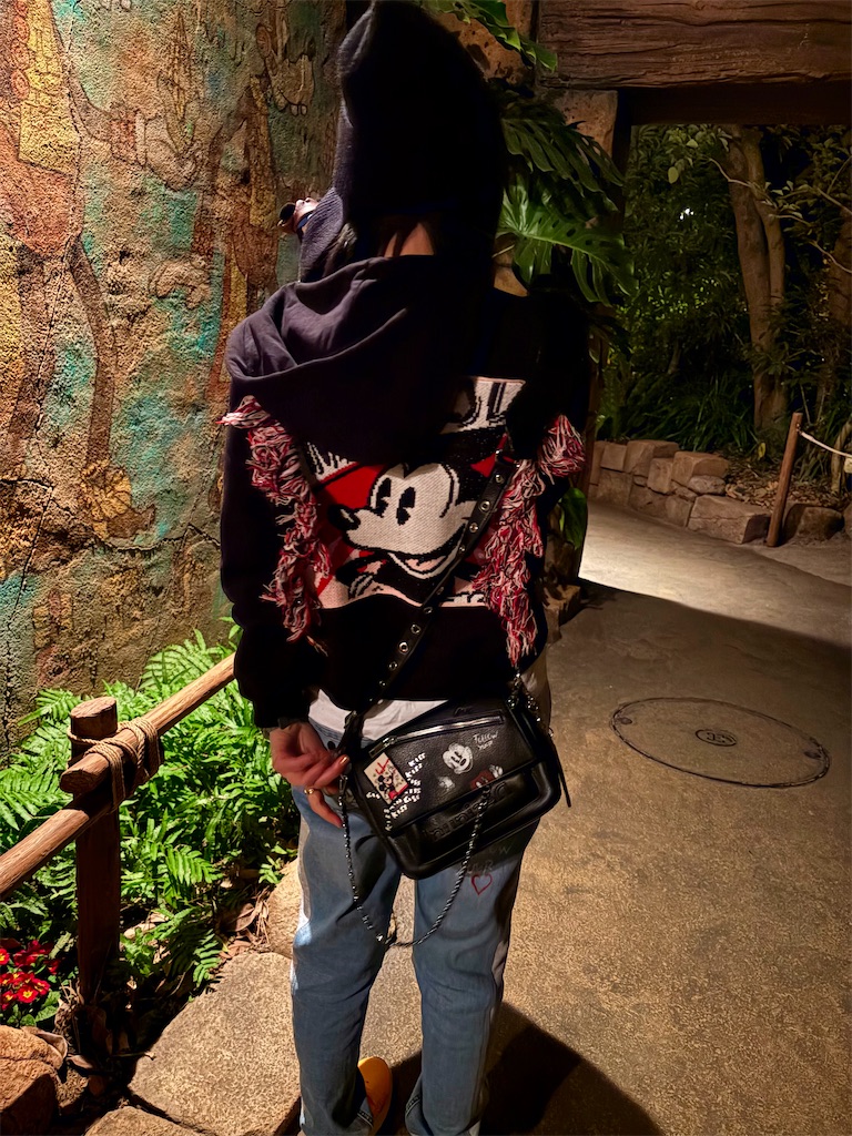 f:id:kozakana__srs:20260219151132j:image