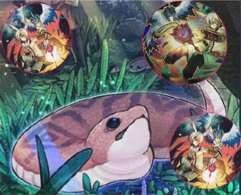 f:id:kozakku1313:20210129230532j:image