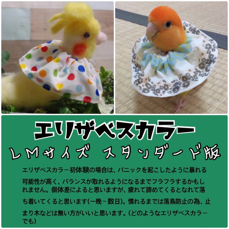 f:id:kozaku_ranran:20200728171623j:plain f:id:kozaku_ranran:20200728171623j:plain