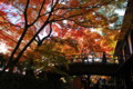 [永源寺]