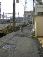 f:id:kozaru:20090106225258j:image
