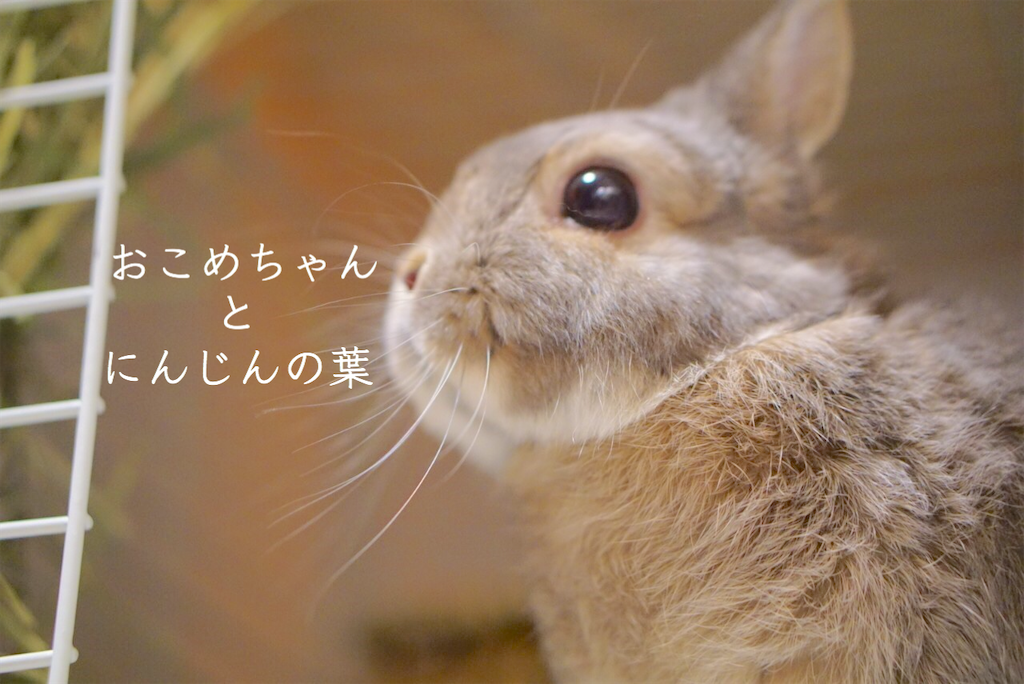 f:id:kozchi:20200312161344p:image