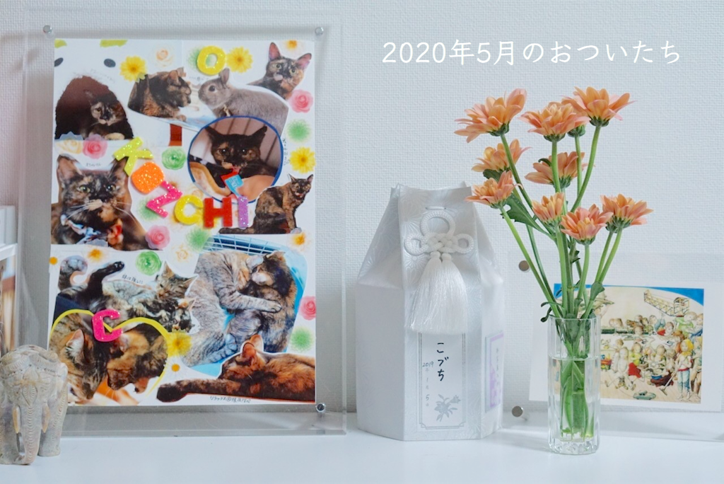 f:id:kozchi:20200501234233p:image
