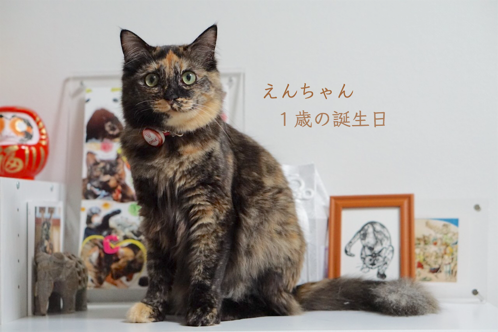 f:id:kozchi:20200506221658p:image