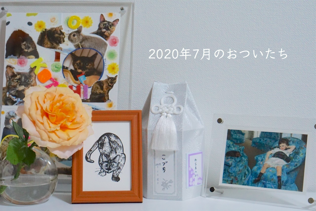 f:id:kozchi:20200702140708p:plain