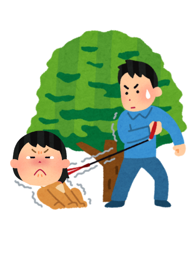 f:id:kozekitan:20160911134558p:image