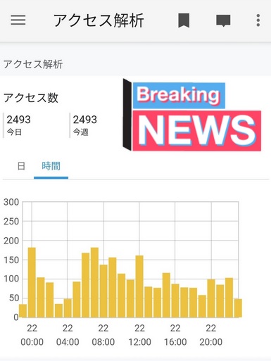 ブログアクセス