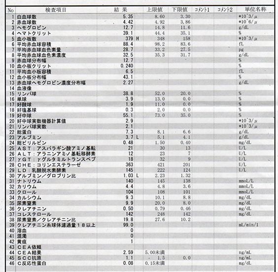 f:id:kozikokozirou:20170124111729j:plain