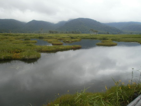f:id:kozokotani:20130724093213j:image