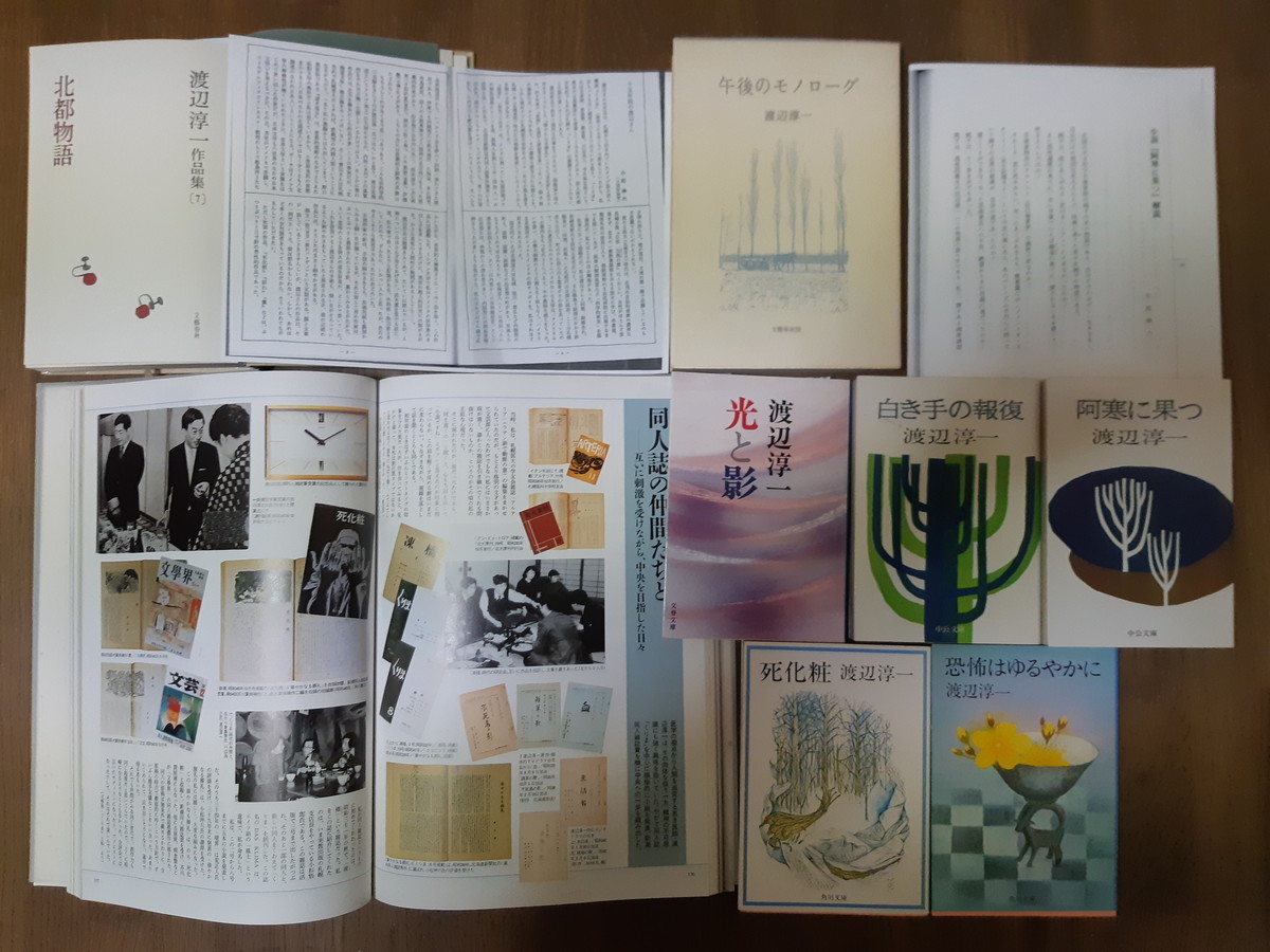 今日の超目玉】 渡辺淳一 作品集23巻+午後のモノローグ - アート 中古 渡辺淳一 作品集23巻+午後のモノローグ 文学/小説