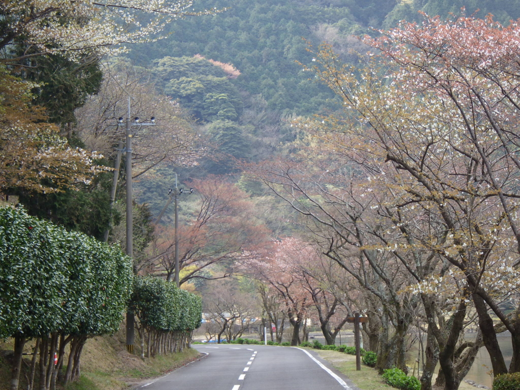 f:id:kozono-imuta:20170405083337j:plain f:id:kozono-imuta:20170405083337j:plain
