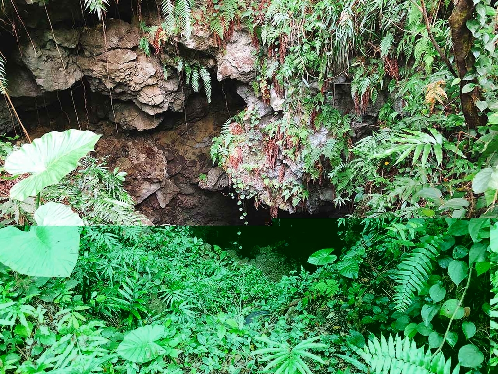 【沖縄】南城市ガンガラーの谷【適材適食】小園亜由美（管理栄養士・野菜ソムリエ上級プロ）