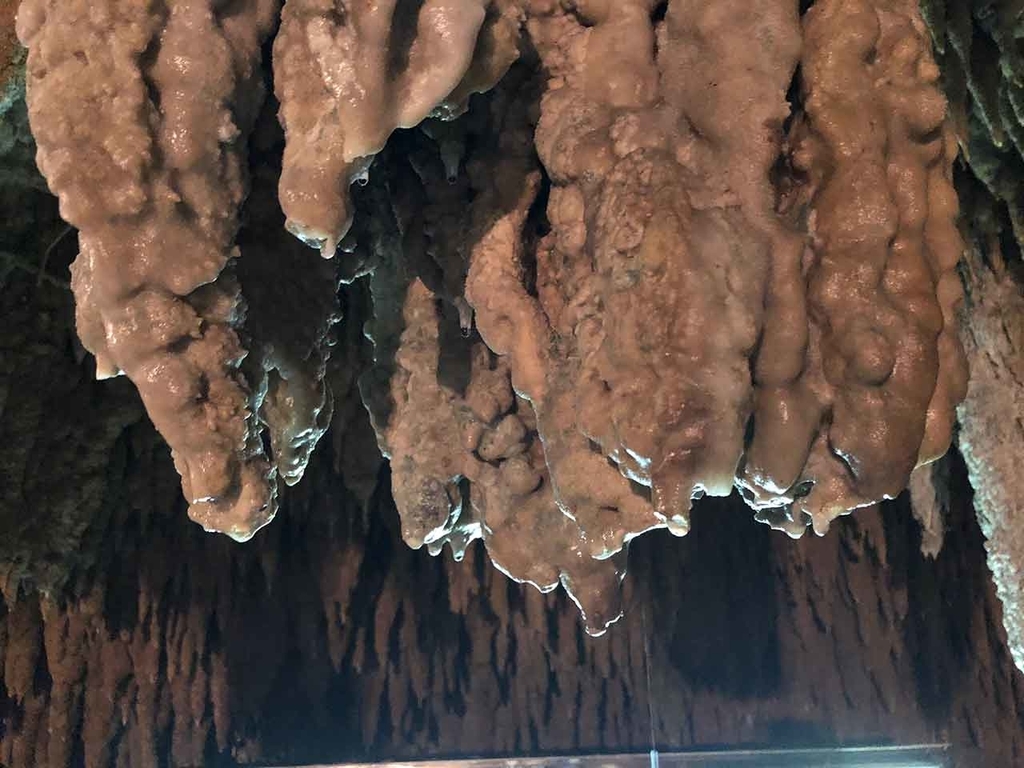 【沖縄】南城市おきなわワールド 文化王国・玉泉洞【適材適食】小園亜由美（管理栄養士・野菜ソムリエ上級プロ）