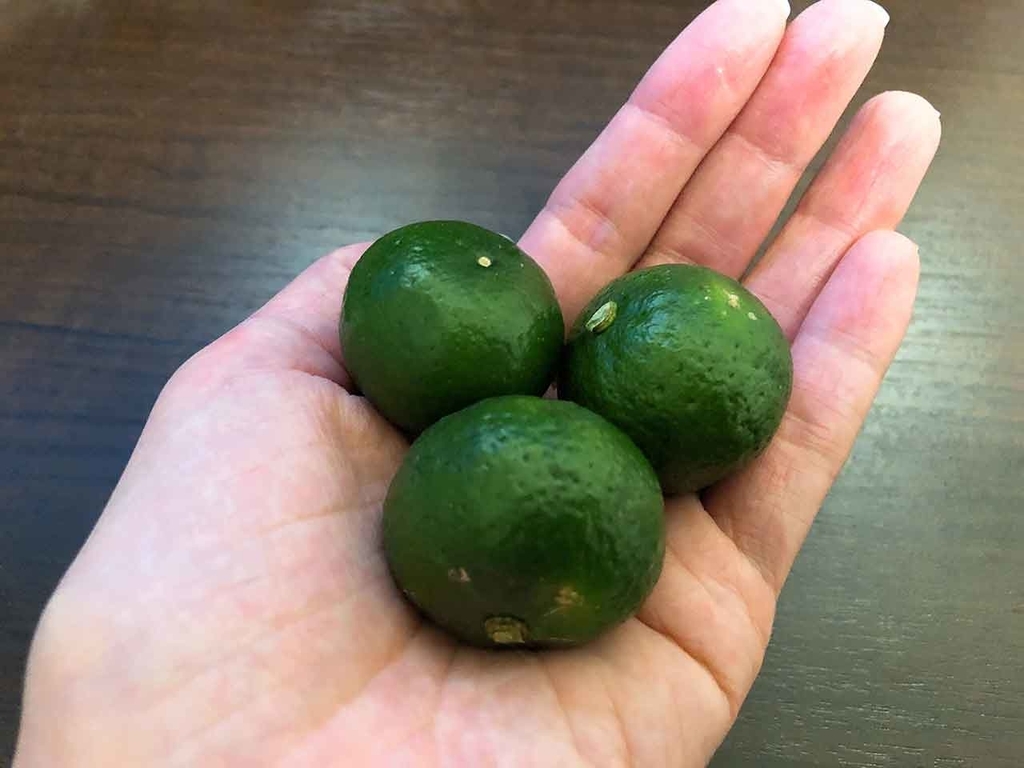 【沖縄】シークヮーサーの日【適材適食】小園亜由美（管理栄養士・野菜ソムリエ上級プロ）