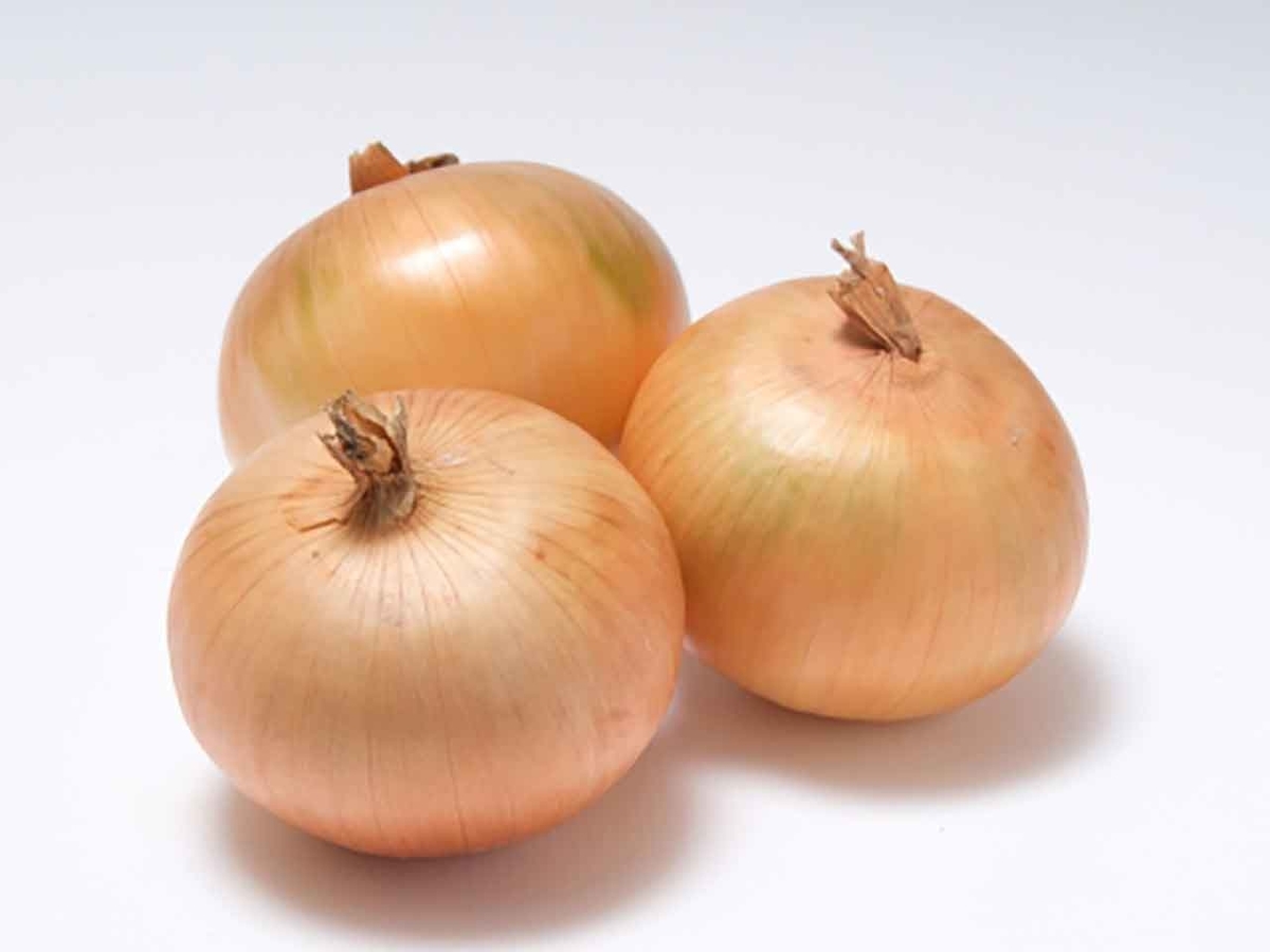 8位　タマネギ＠「子どもの[ 好きな野菜 ]ランキング」第2回カゴメ野菜定点調査2018より【適材適食】小園亜由美（管理栄養士・野菜ソムリエ上級プロ）