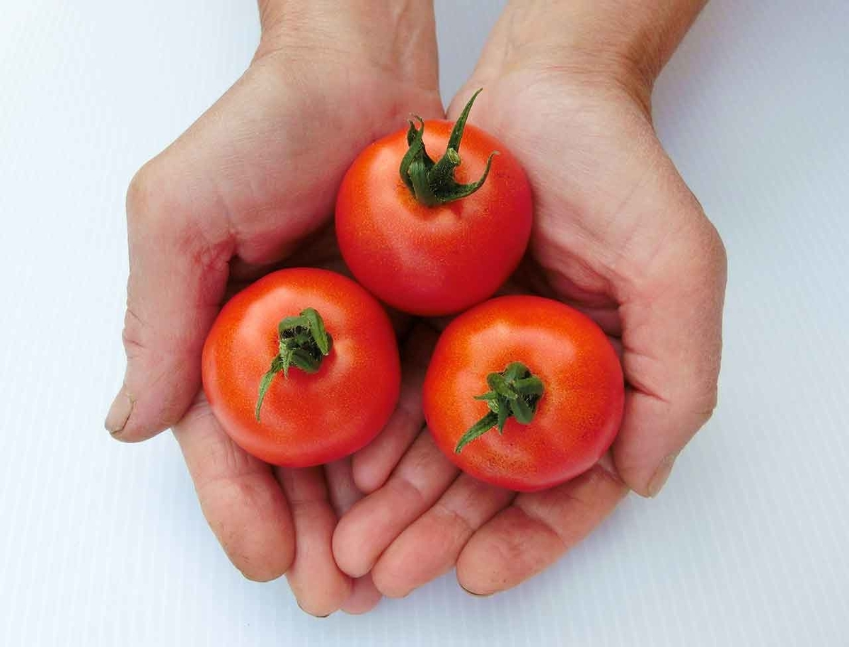 「旬の役菜 8月【トマト】」今が旬★　美味しくて＋栄養価が高くて＋安くて＝元気にしてくれる季節の野菜を紹介その1【適材適食】小園亜由美（管理栄養士・野菜ソムリエ上級プロ）