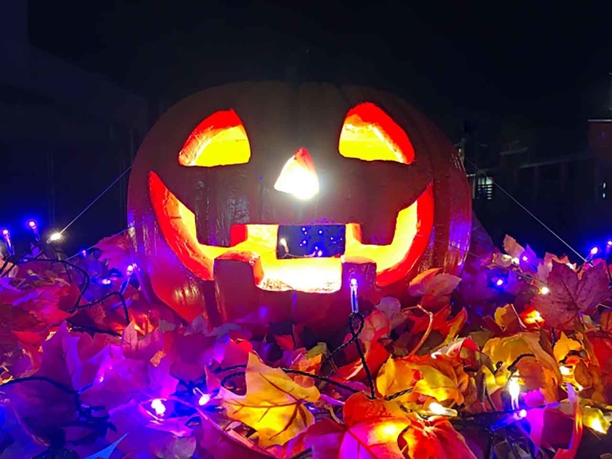 「旬の役菜 10月【カボチャ】」今が旬★　美味しくて＋栄養価が高くて＋安くて＝元気にしてくれる季節の野菜を紹介【適材適食】小園亜由美（管理栄養士・野菜ソムリエ上級プロ）