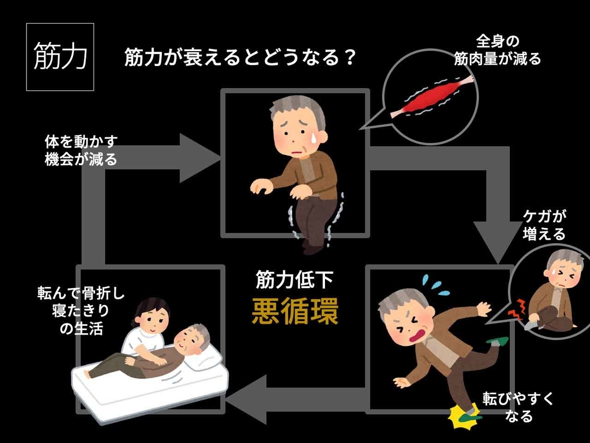 651食目「筋肉が衰えるとどうなるの？」サルコペニアってなに？ - 適材適食 -てきざいてきしょく-