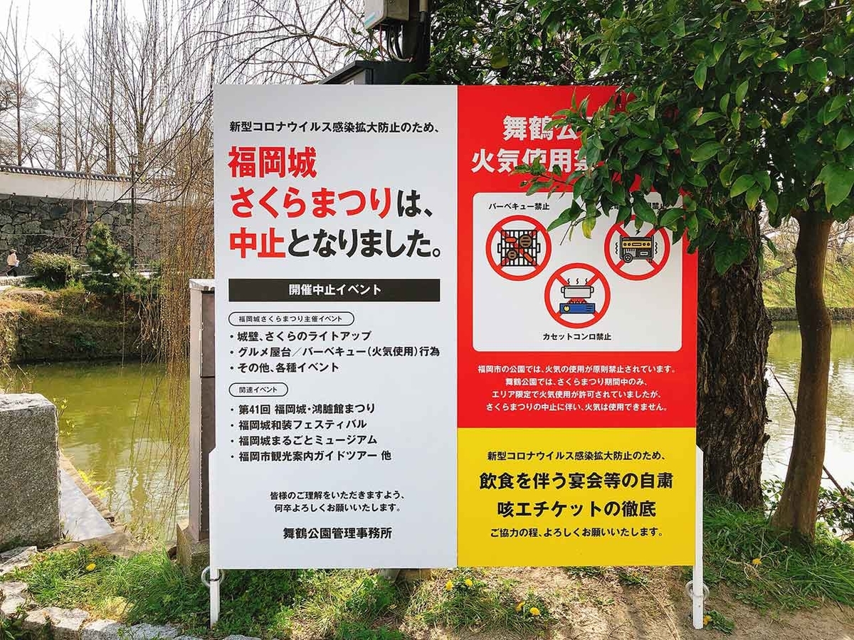 「椿と桜と蒲公英 -冬から春へ-」2020年3月21日＠福岡・舞鶴公園【適材適食】小園亜由美（管理栄養士・野菜ソムリエ上級プロ）