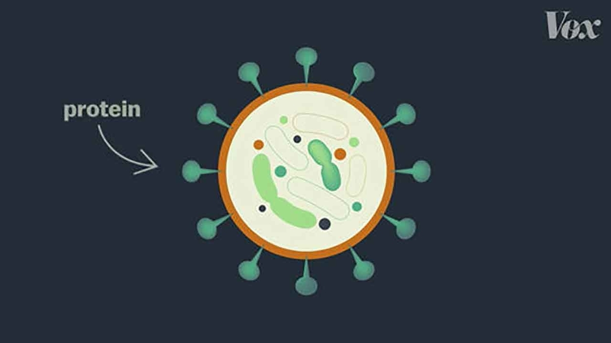 f:id:kozonoayumi2018:20200416155249j:plain