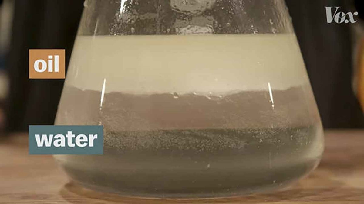 f:id:kozonoayumi2018:20200416155302j:plain