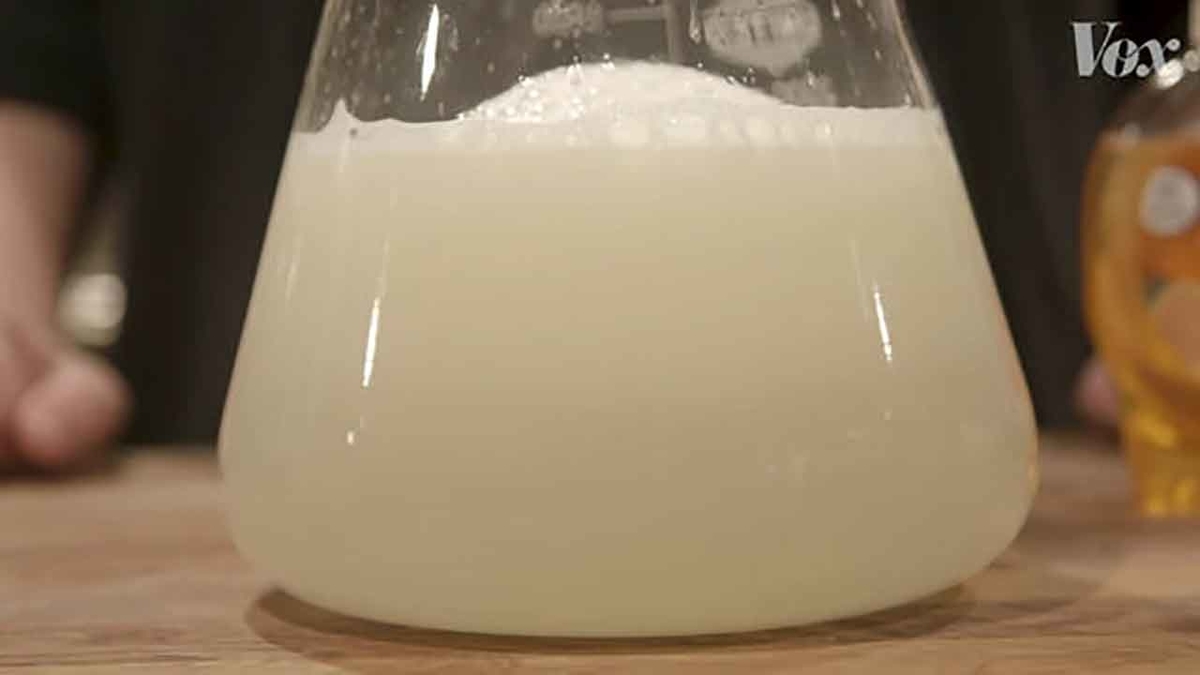 f:id:kozonoayumi2018:20200416155320j:plain