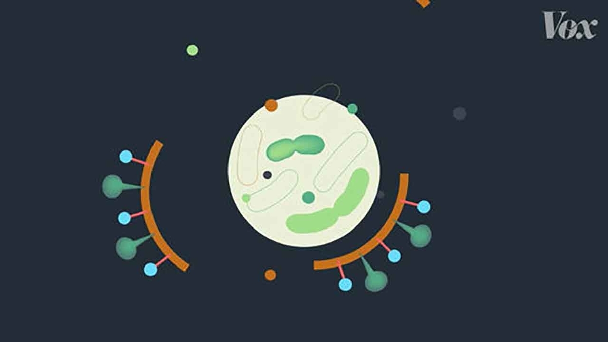 f:id:kozonoayumi2018:20200416155333j:plain