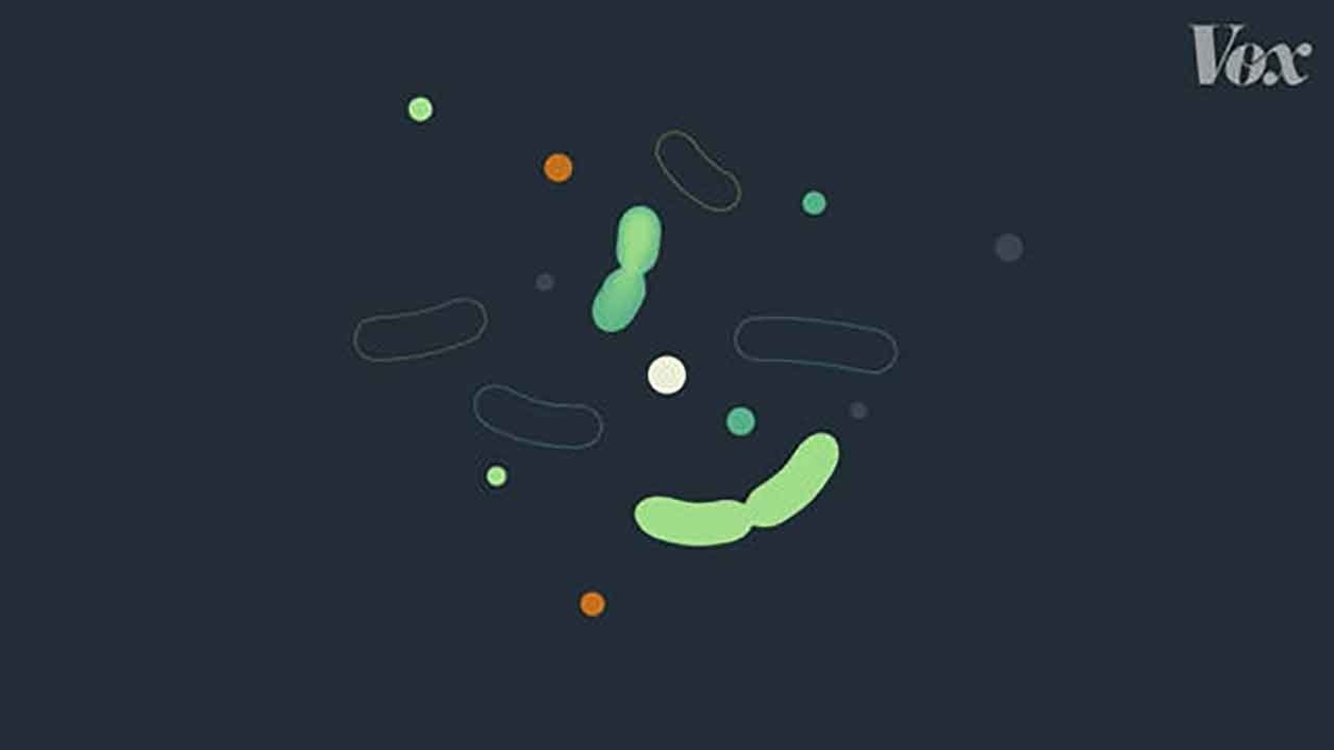 f:id:kozonoayumi2018:20200416155343j:plain