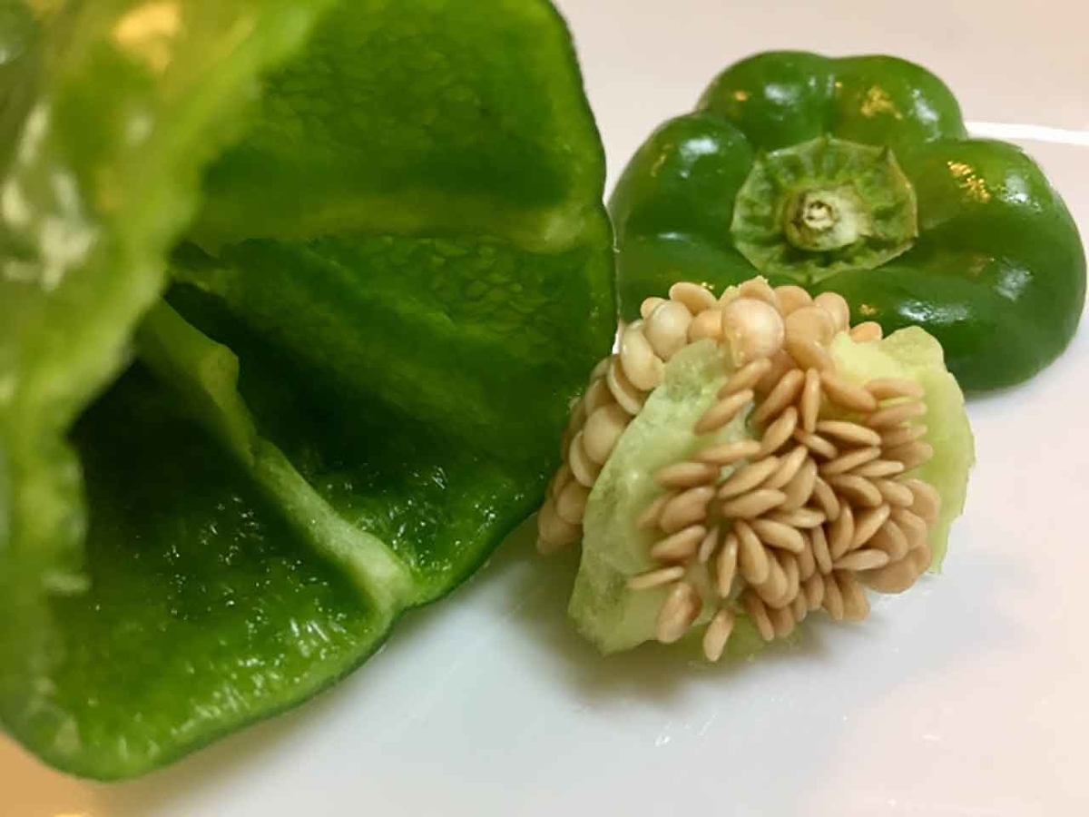「旬の役菜 5月【ピーマン】」今が旬★　美味しくて＋栄養価が高くて＋安くて＝元気にしてくれる季節の野菜を紹介【適材適食】小園亜由美（管理栄養士・野菜ソムリエ上級プロ）
