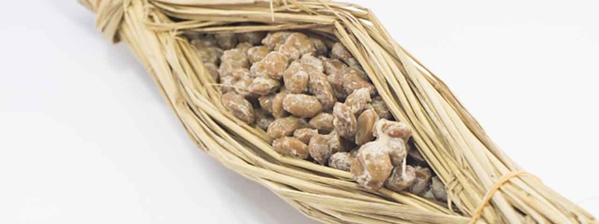 「ダイズを食べると膵臓がんのリスクが高まる？を考えてみる」国立がん研究センターなどの多目的コホート(JPHC)研究グループの研究から【適材適食】小園亜由美（管理栄養士・野菜ソムリエ上級プロ）