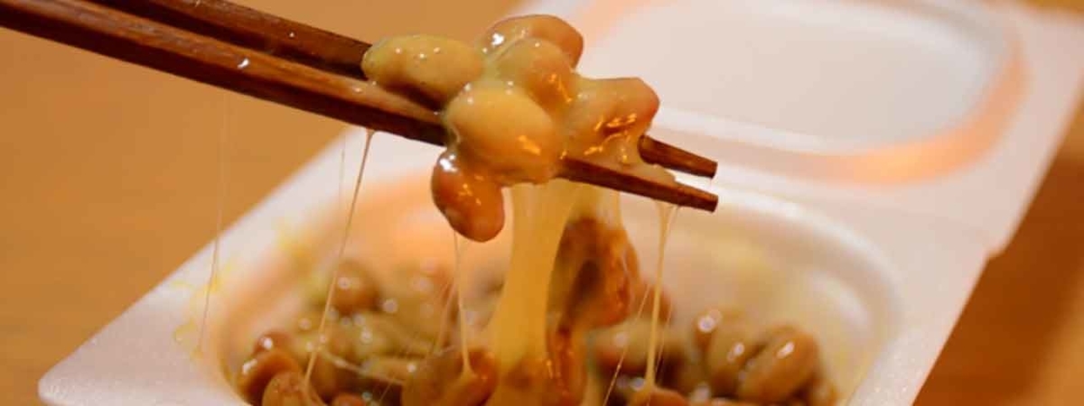 「ダイズを食べると膵臓がんのリスクが高まる？を考えてみる」国立がん研究センターなどの多目的コホート(JPHC)研究グループの研究から【適材適食】小園亜由美（管理栄養士・野菜ソムリエ上級プロ）