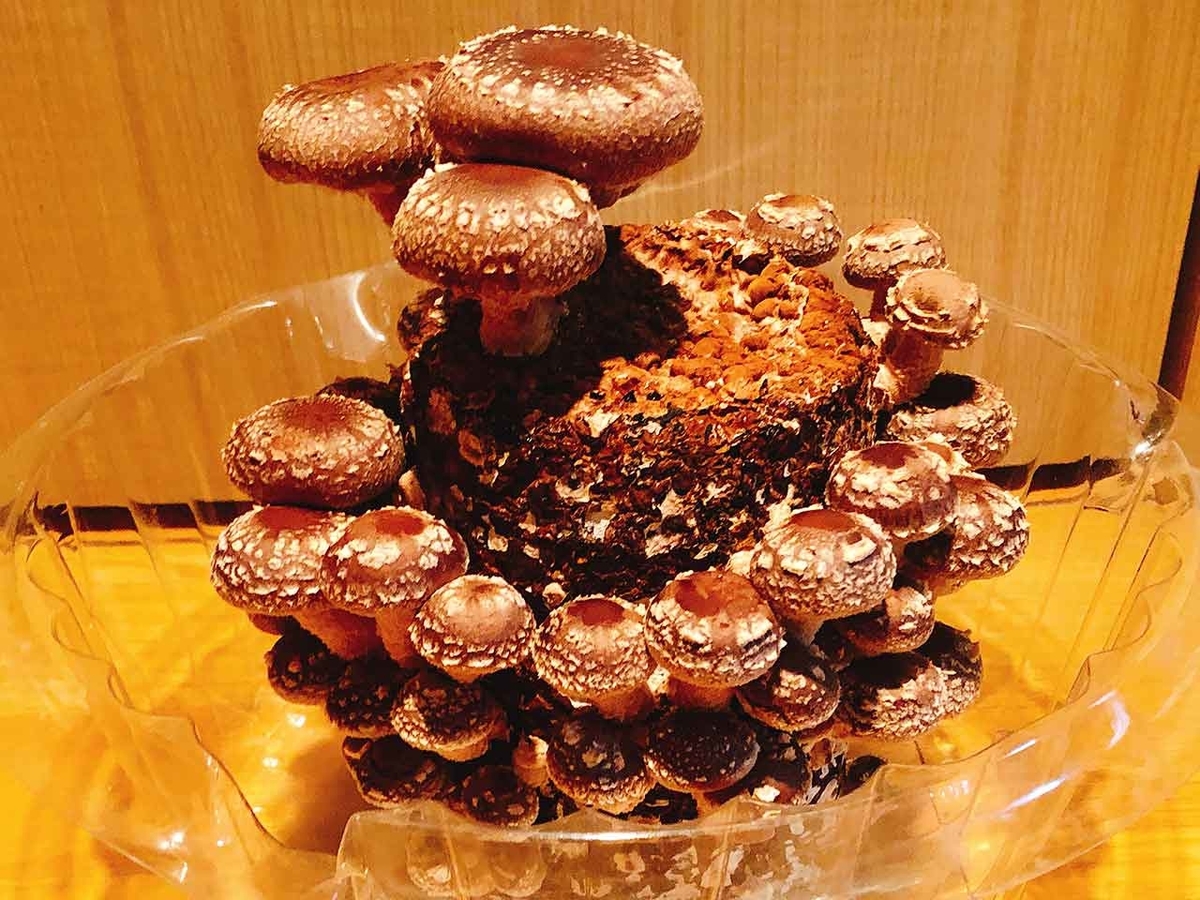 「旬の役菜 9月【キノコ】」今が旬★　美味しくて＋栄養価が高くて＋安くて＝元気にしてくれる季節の野菜を紹介【適材適食】小園亜由美（管理栄養士・野菜ソムリエ上級プロ）