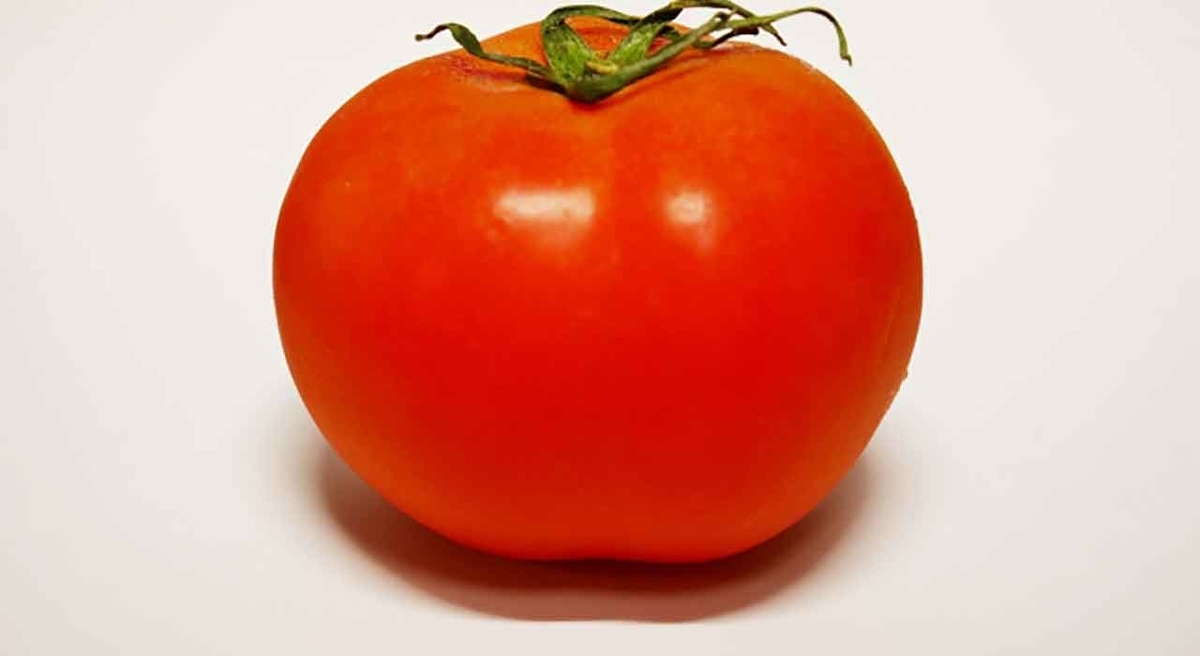 とまとです AU産フローズンフード トマト セミドライトマト ダイス 〈ボーエン