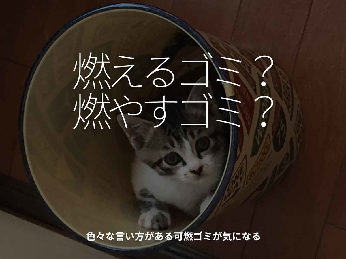 「燃えるゴミ？燃やすゴミ？」色々な言い方がある可燃ゴミが気になる。【適材適食】小園亜由美（管理栄養士・野菜ソムリエ上級プロ）