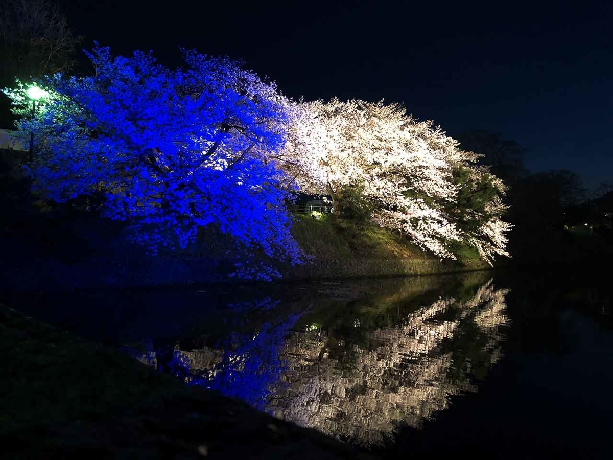 「福岡で観測史上最も早いサクラの開花を記念して。」最も遅い2021年春のサクラの報告【適材適食】小園亜由美(管理栄養士・野菜ソムリエ上級プロ)糖尿病専門・甲状腺専門クリニック勤務@福岡姪浜・福岡天神