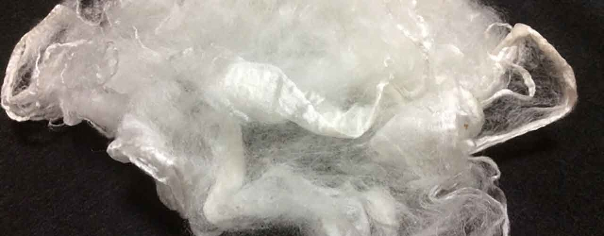 「Cotton or Silk (木綿か絹か)」とうふの話?【適材適食】小園亜由美(管理栄養士・野菜ソムリエ上級プロ)糖尿病専門・甲状腺専門クリニック勤務@福岡姪浜・福岡天神