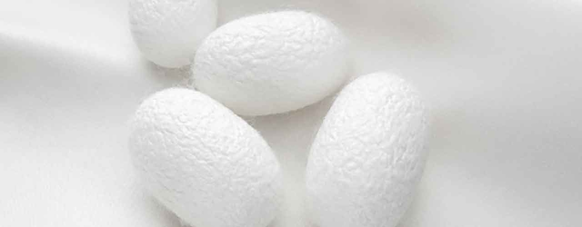 「Cotton or Silk (木綿か絹か)」とうふの話?【適材適食】小園亜由美(管理栄養士・野菜ソムリエ上級プロ)糖尿病専門・甲状腺専門クリニック勤務@福岡姪浜・福岡天神