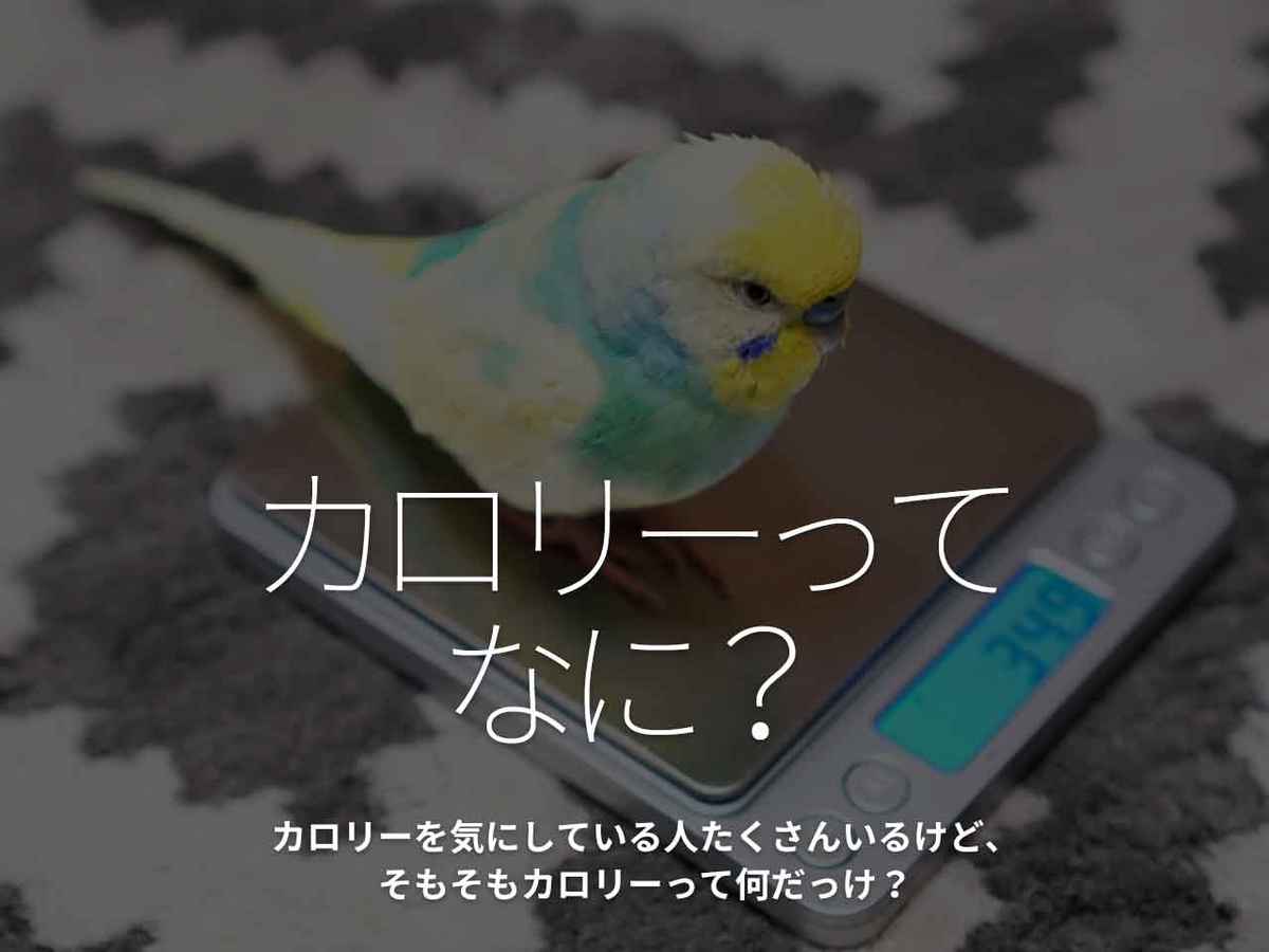 「カロリーってなに？」カロリーを気にしている人たくさんいるけど、そもそもカロリーって何だっけ？【適材適食】小園亜由美（管理栄養士・野菜ソムリエ上級プロ）糖尿病専門・甲状腺専門クリニック勤務＠福岡姪浜・福岡天神