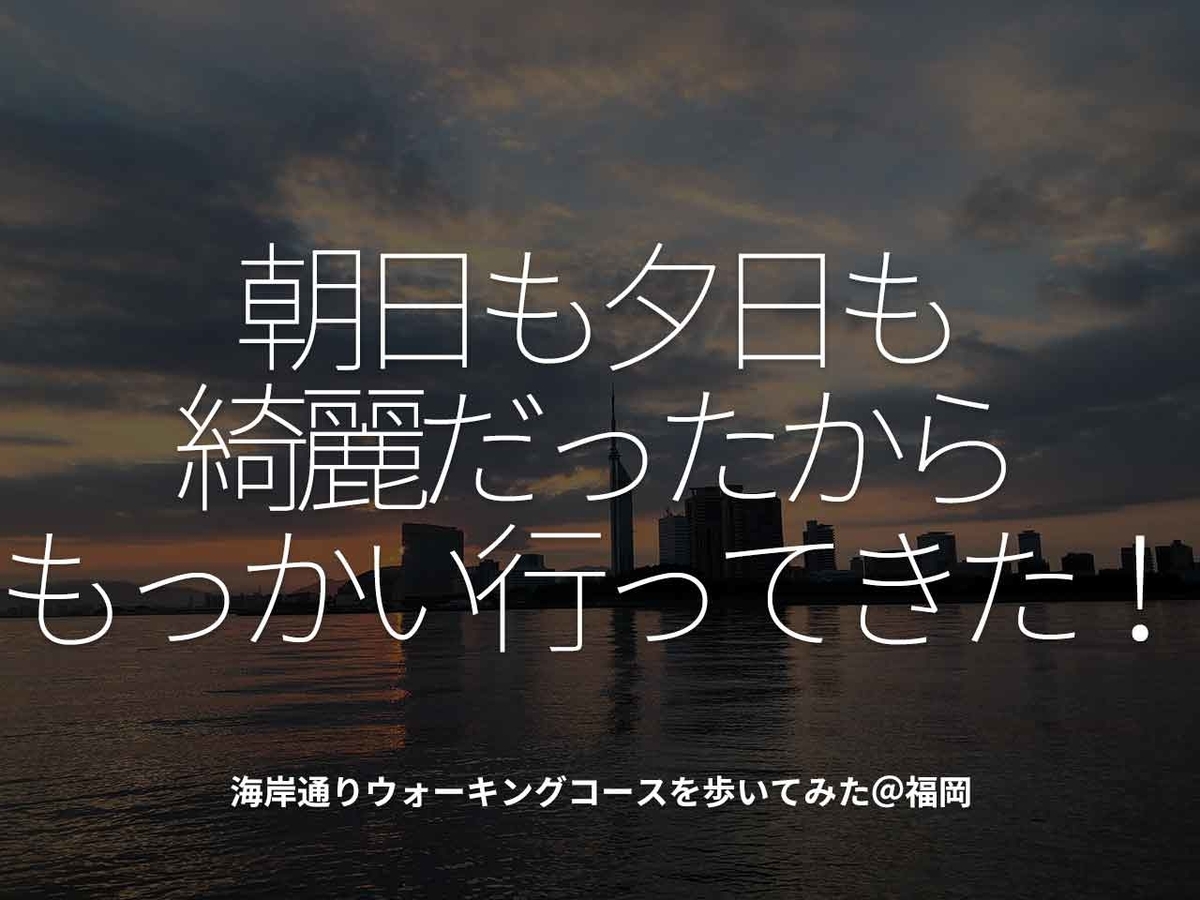 「朝日も夕日も綺麗だったからもっかい行ってきた!」海岸通りウォーキングコースを歩いてみた@福岡【適材適食】小園亜由美(管理栄養士・野菜ソムリエ上級プロ)糖尿病専門・甲状腺専門クリニック勤務@福岡姪浜・福岡天神