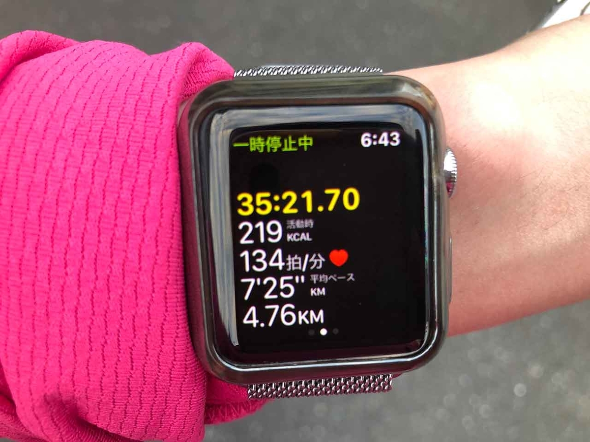 「朝日も夕日も綺麗だったからもっかい行ってきた!」海岸通りウォーキングコースを歩いてみた@福岡【適材適食】小園亜由美(管理栄養士・野菜ソムリエ上級プロ)糖尿病専門・甲状腺専門クリニック勤務@福岡姪浜・福岡天神