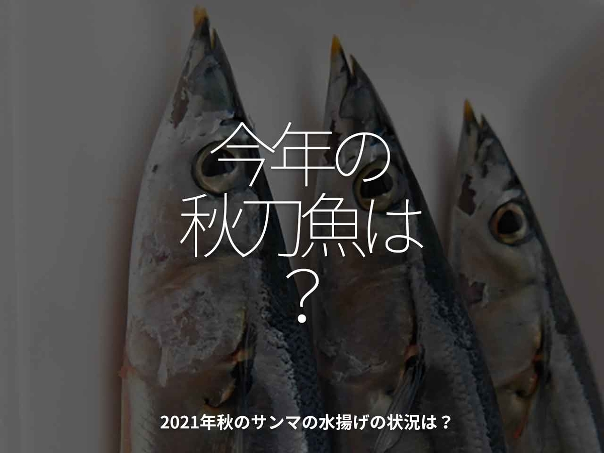 「今年の秋刀魚は？」2021年秋のサンマの水揚げの状況は？【適材適食】小園亜由美（管理栄養士・野菜ソムリエ上級プロ）糖尿病専門・甲状腺専門クリニック勤務＠福岡姪浜・福岡天神