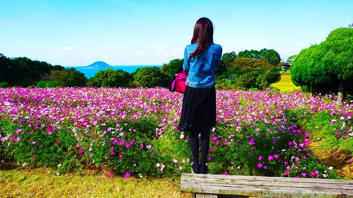 「家を出て10分で小旅行」コスモスが満開な能古島に行ってきた★【適材適食】小園亜由美（管理栄養士・野菜ソムリエ上級プロ）糖尿病専門・甲状腺専門クリニック勤務＠福岡姪浜・福岡天神