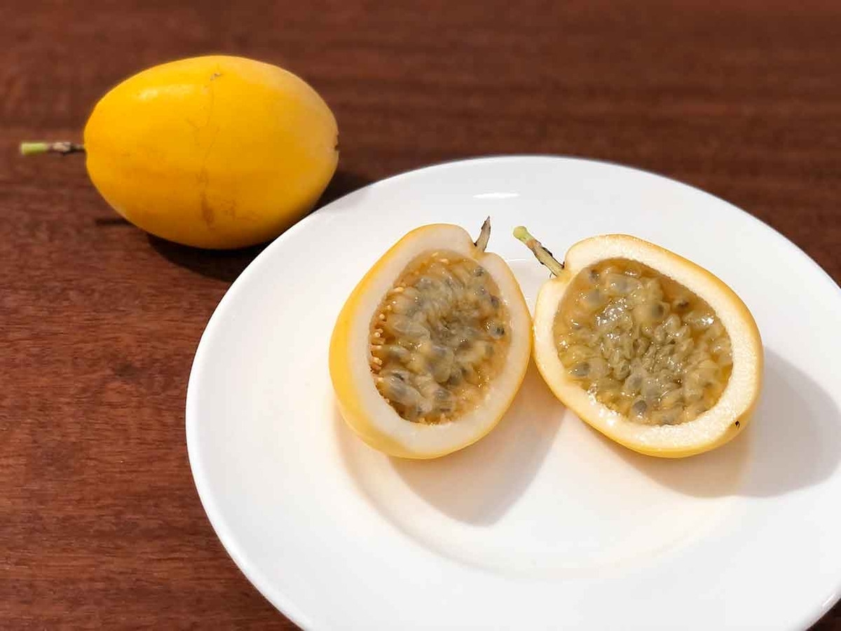 1536食目 水レモンってなあんだ 幻のフルーツと呼ばれるレアな一品 沖縄土産その2 適材適食 てきざいてきしょく