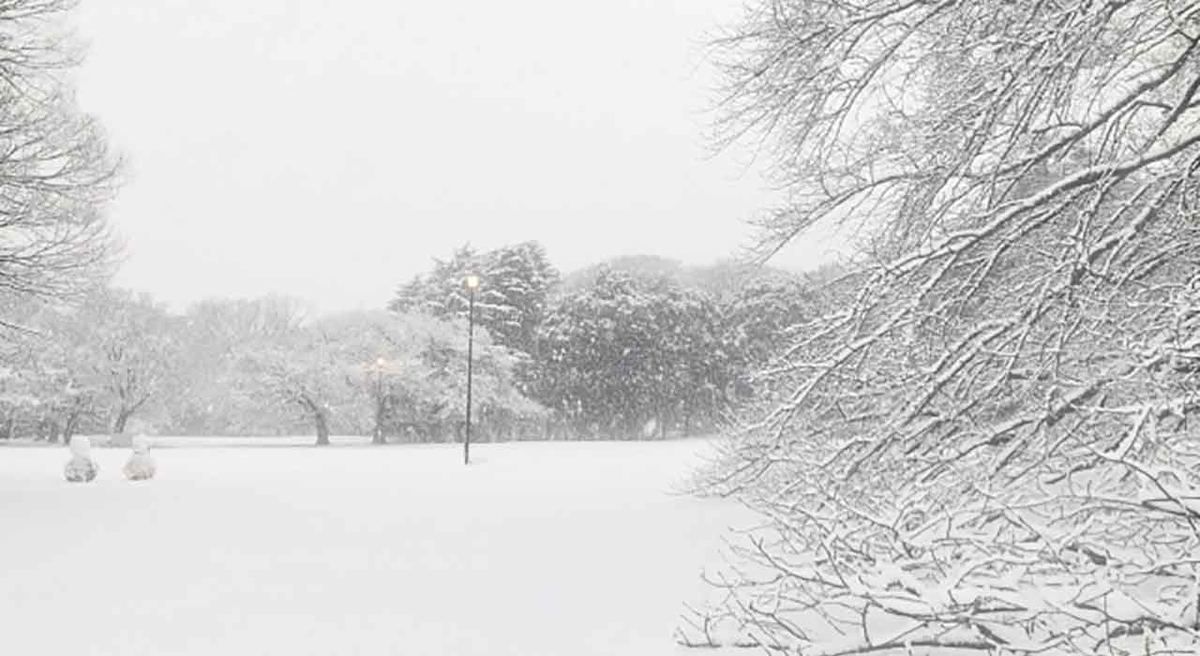 「極寒の中、空に向かってお湯を撒いたらどうなる?」意外な結果が!twitterで話題。【適材適食】小園亜由美(管理栄養士・野菜ソムリエ上級プロ)糖尿病専門・甲状腺専門クリニック勤務@福岡姪浜・福岡天神