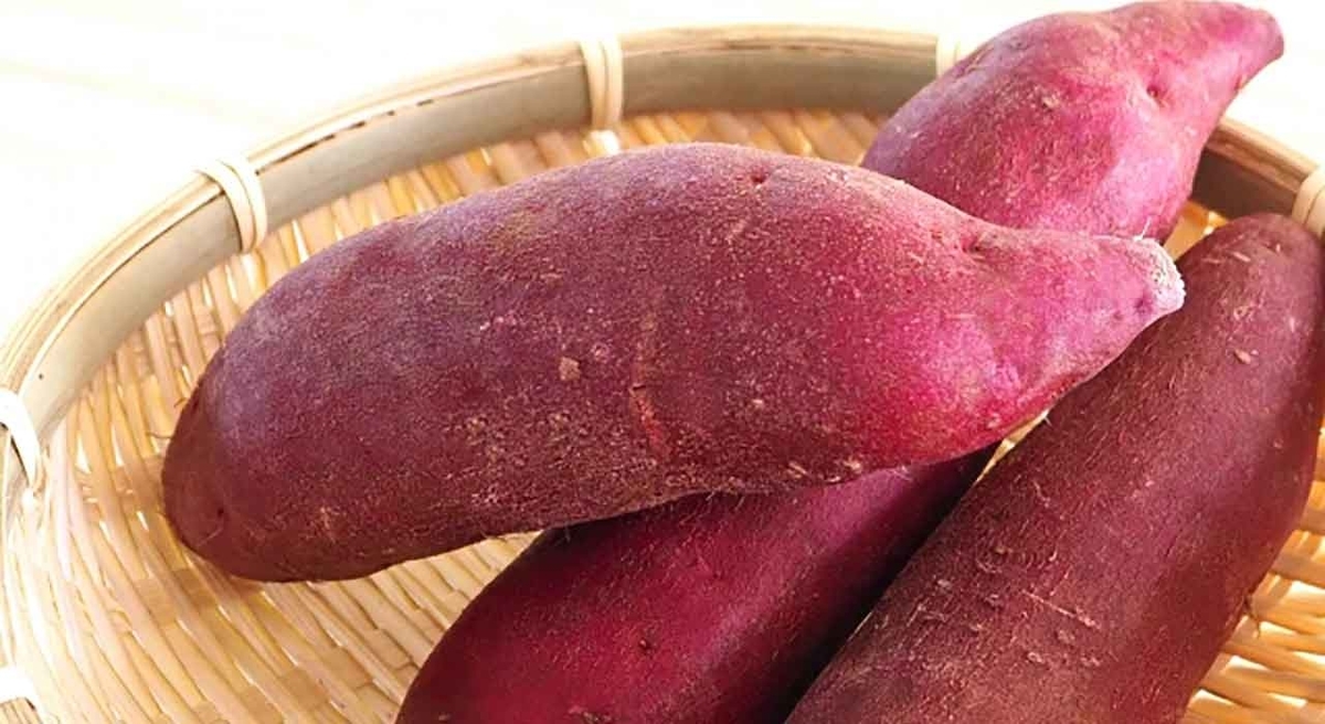 「紅芋と紫芋は違うイモ?」沖縄から持ち出しを禁止されているイモ【沖縄土産番外編】【適材適食】小園亜由美(管理栄養士・野菜ソムリエ上級プロ)糖尿病専門・甲状腺専門クリニック勤務@福岡姪浜・福岡天神