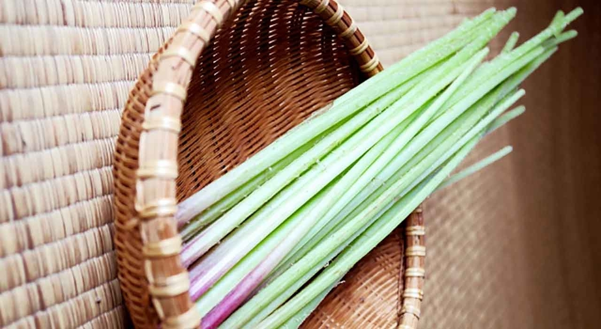  「2月10日はフキノトウの日」野菜と果物の記念日シリーズその3【適材適食】小園亜由美（管理栄養士・野菜ソムリエ上級プロ）糖尿病専門・甲状腺専門クリニック勤務＠福岡姪浜・福岡天神