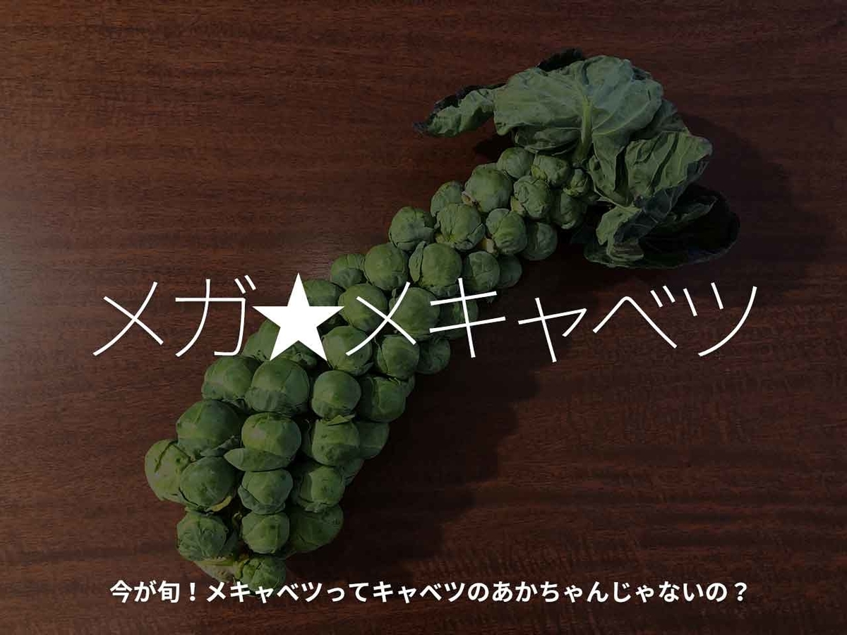 芽キャベツ様 おまとめ CTG様 リクエスト 2点 まとめ商品 - メルカリ