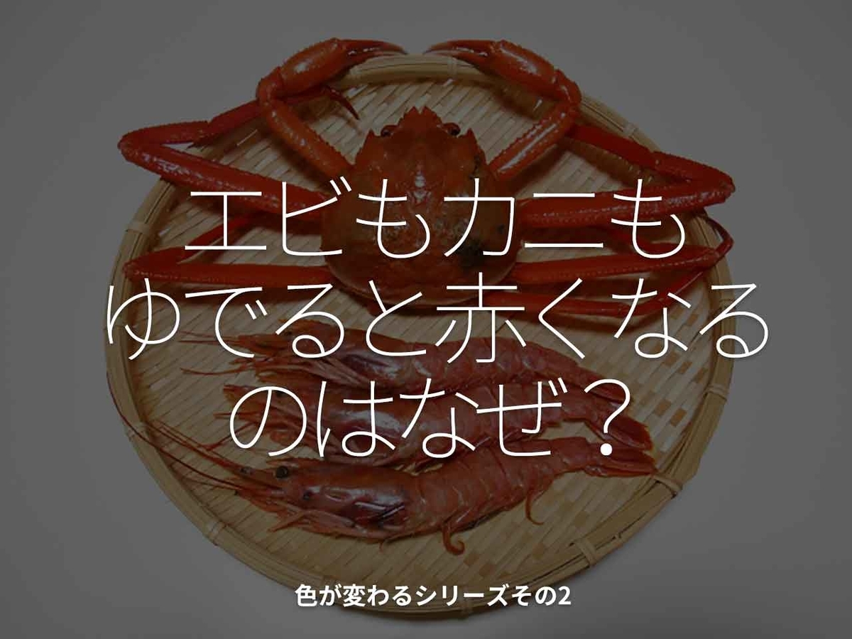 1613食目 エビもカニもゆでると赤くなるのはなぜ 色が変わるシリーズその2 適材適食 てきざいてきしょく 1613食目 エビもカニもゆでると赤くなるのはなぜ 色が変わるシリーズその2 適材適食 てきざいてきしょく
